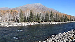 IMG_3313.JPG