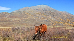 IMG_3377.JPG