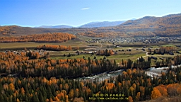 IMG_3379.JPG