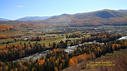 IMG_3380.JPG