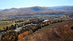 IMG_3381.JPG