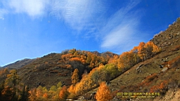 IMG_3456.JPG