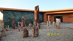 IMG_3470.JPG