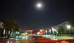 IMG_3538.JPG