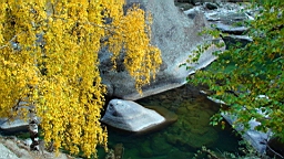 DSC00262.JPG