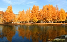 IMG_3551.JPG
