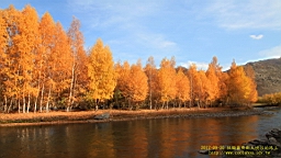 IMG_3553.JPG