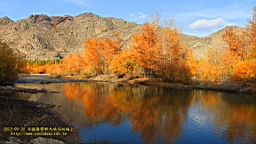 IMG_3555.JPG