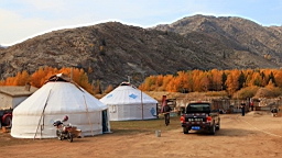 IMG_3565.JPG