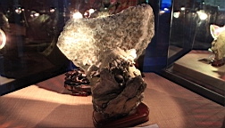 IMG_3572.JPG