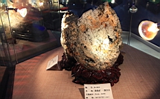 IMG_3573.JPG