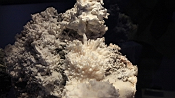 IMG_3576.JPG