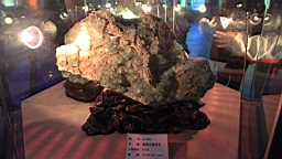 IMG_3578.JPG