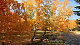 IMG_3599.JPG