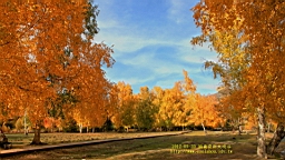 IMG_3600.JPG