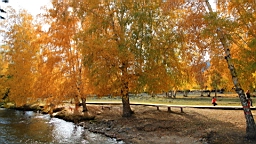 IMG_3609.JPG
