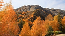 IMG_3652.JPG