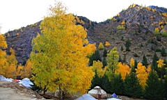 IMG_3658.JPG