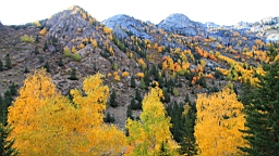IMG_3662.JPG