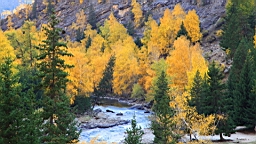 IMG_3664.JPG