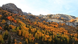 IMG_3669.JPG