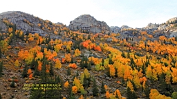 IMG_3670.JPG