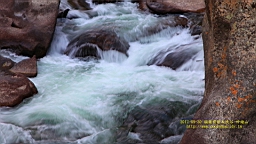 IMG_3675.JPG