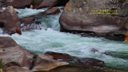 IMG_3680.JPG