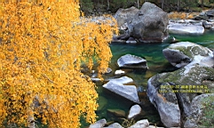 IMG_3707.JPG
