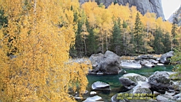 IMG_3709.JPG