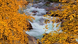 IMG_3715.JPG
