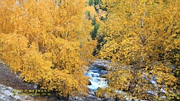 IMG_3717.JPG