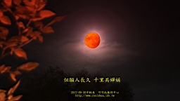 IMG_3732.JPG