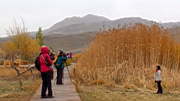 DSC00330.JPG
