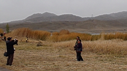 DSC00338.JPG