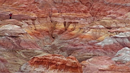 DSC00355.JPG