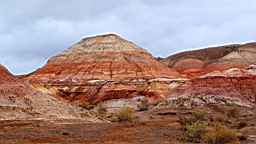 DSC00386.JPG