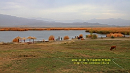 IMG_3752.JPG
