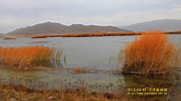 IMG_3756.JPG