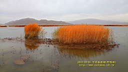 IMG_3761.JPG
