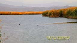 IMG_3763.JPG