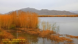 IMG_3768.JPG
