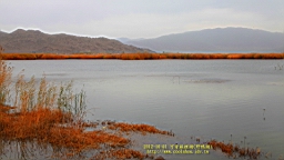 IMG_3769.JPG