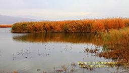 IMG_3771.JPG