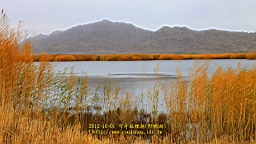 IMG_3776.JPG