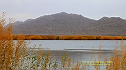 IMG_3778.JPG