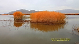 IMG_3781.JPG