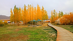 IMG_3784.JPG