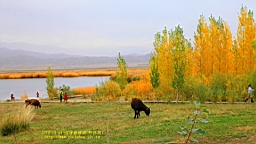 IMG_3788.JPG