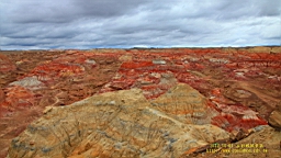 IMG_3795.JPG